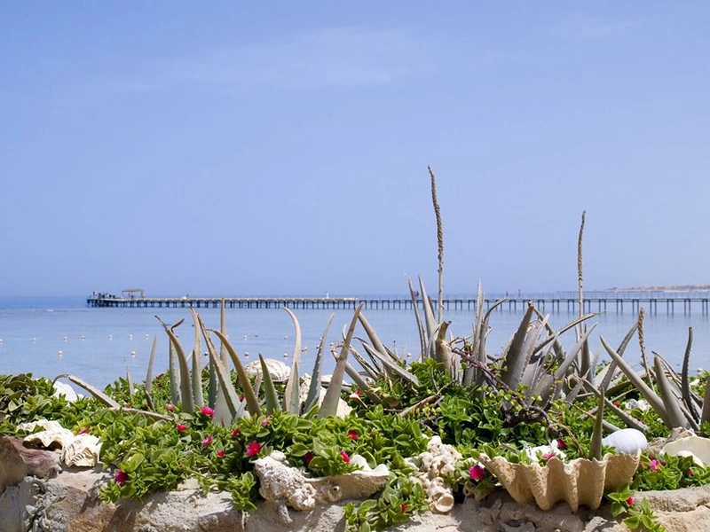 Flamenco Beach & Resort (El Quseir) · Zdjęcia dostawcy 5
