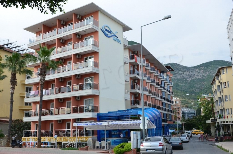 main photo