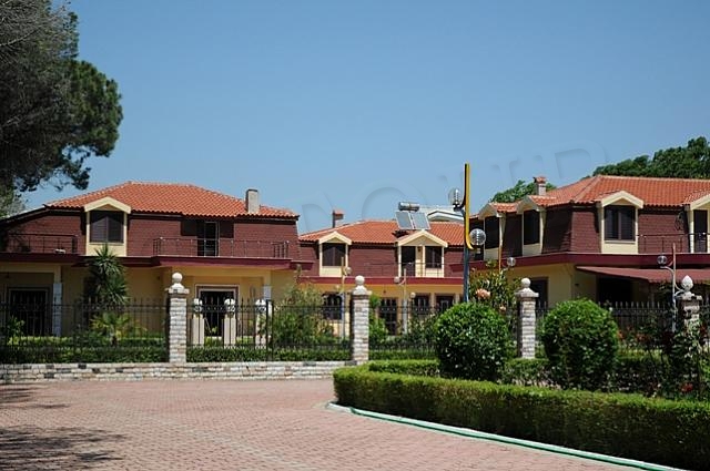 main photo