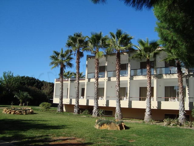 main photo