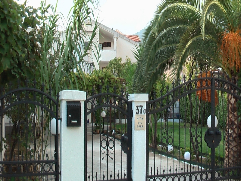 main photo