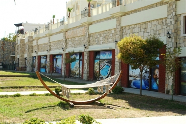 main photo
