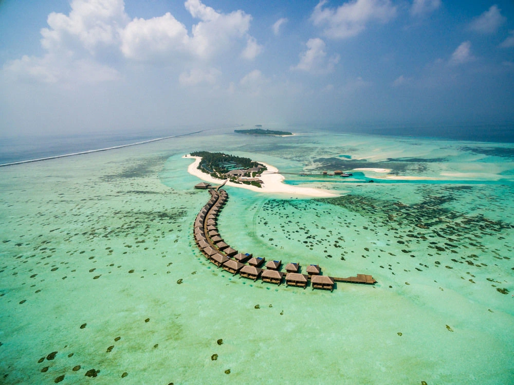 Cocoon Maldives · Photos du fournisseur 1