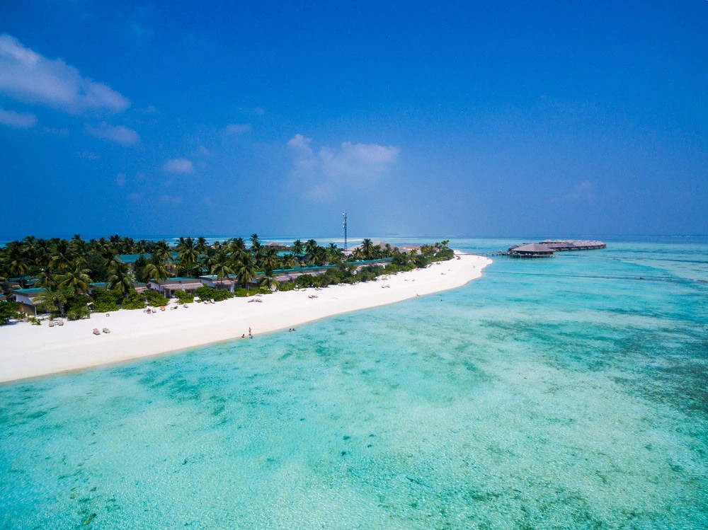 Cocoon Maldives · Photos du fournisseur 8