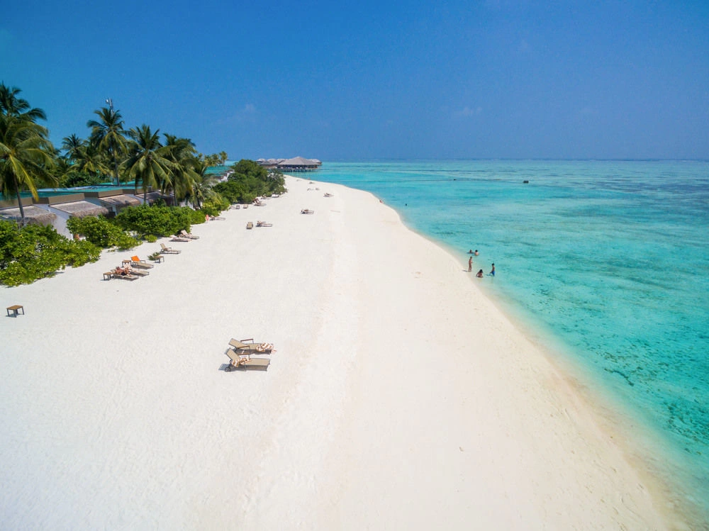 Cocoon Maldives · Photos du fournisseur 5