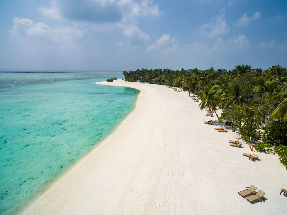 Cocoon Maldives · Photos du fournisseur 3