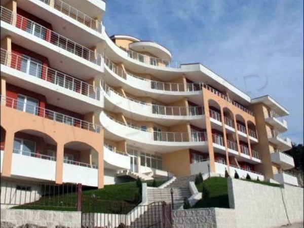 main photo