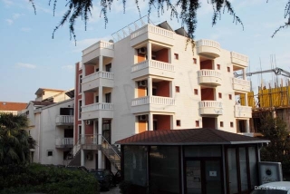 Dimic Ellite