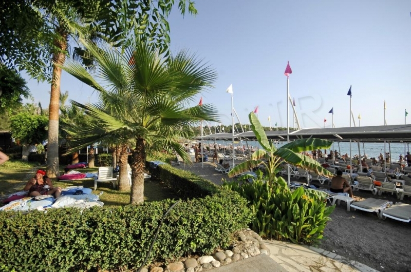 Sealife buket resort hotel 5*. Sealife buket ex aska buket aska. отель sealife buket beach. силайф букет резорт алания турция. сиа лайф алания.