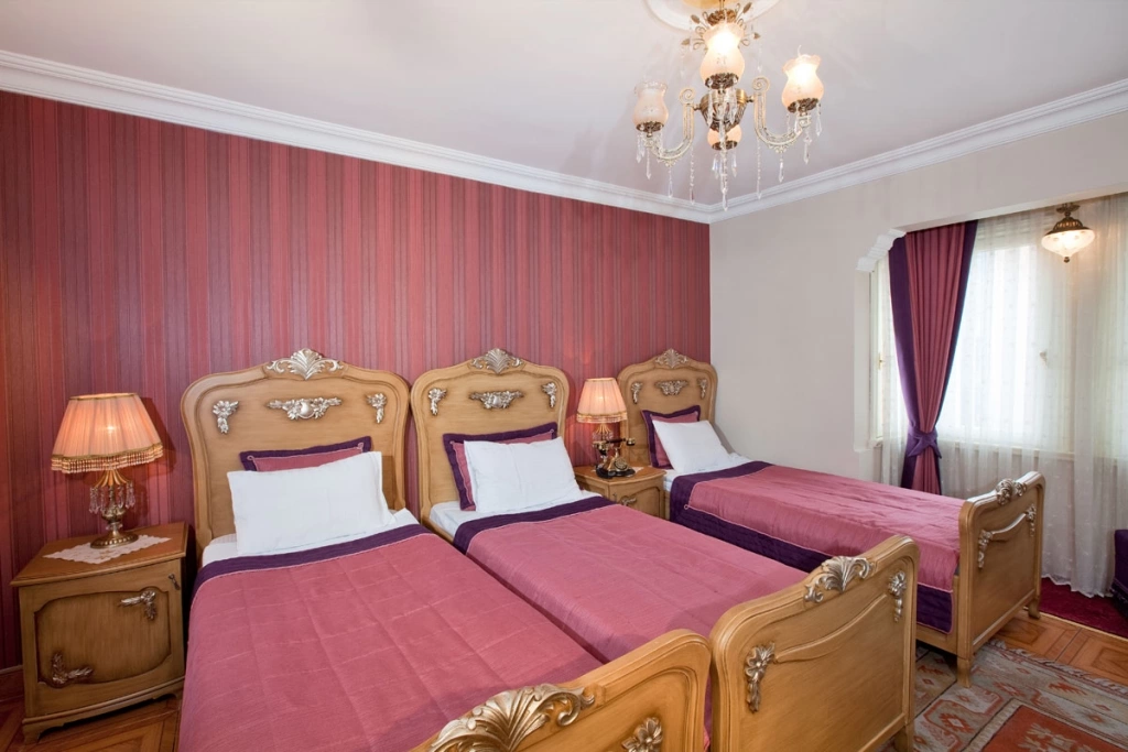 1207 Hotel Special Class Sultanahmet (ex. Alzer) · Zdjęcia dostawcy 3