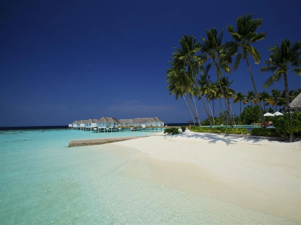 Machchafushi Island Resort & Spa, The Centara Collection (ex. Centara Grand Island) · Zdjęcia dostawcy 11