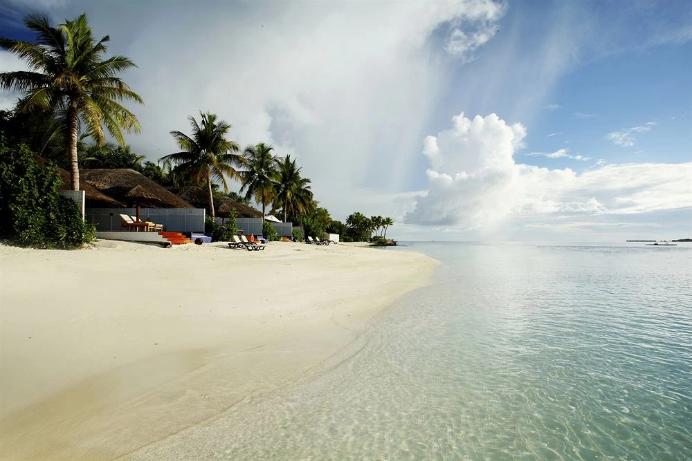 Machchafushi Island Resort & Spa, The Centara Collection (ex. Centara Grand Island) · Zdjęcia dostawcy 10
