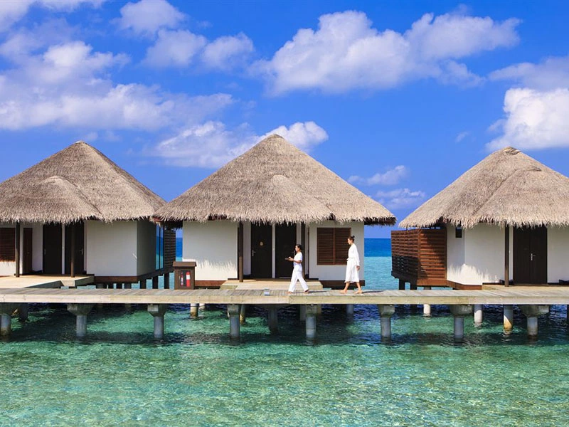 Niva Velassaru Maldives (ex. Velassaru Maldives) · Fotos do fornecedor 2