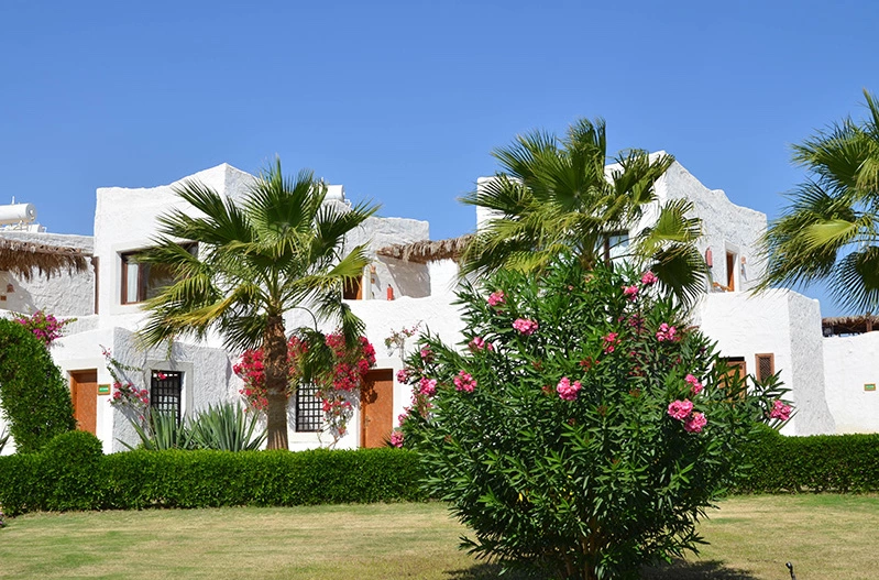 Sharm Club Beach Resort · Foto del fornitore 5