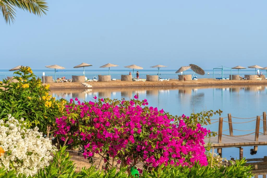 Movenpick Resort & Spa El Gouna · Фото постачальника 12