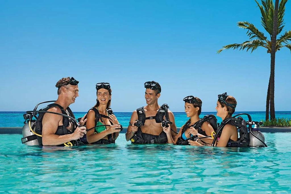 Impressive Punta Cana · Supplier photos 4