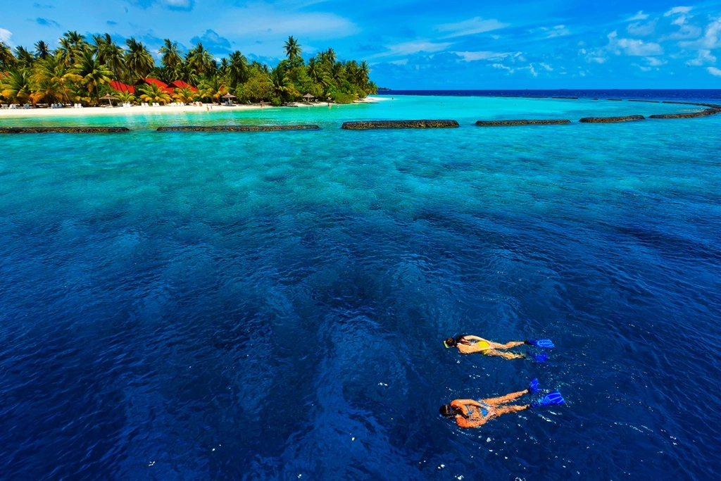 Niva Kurumba Maldives · Фото постачальника 3
