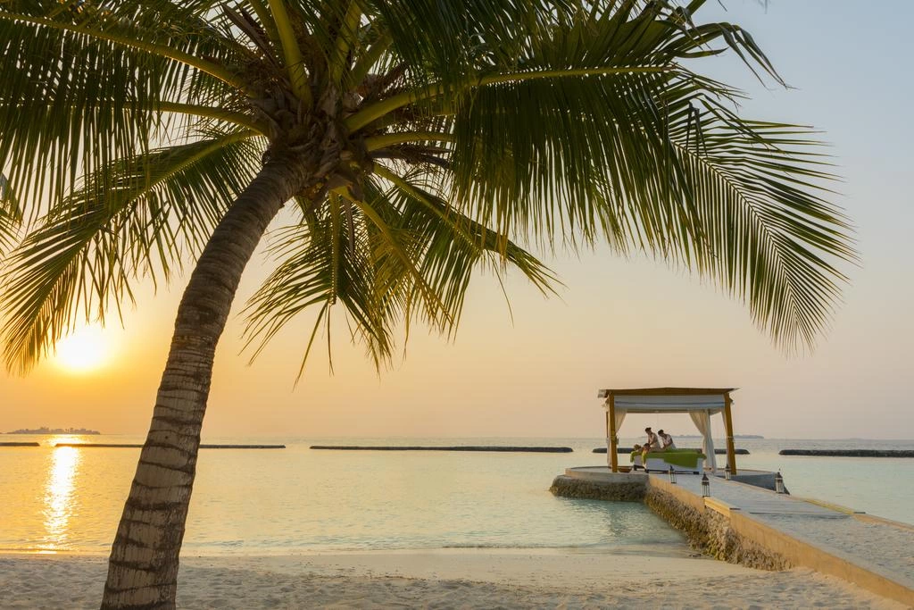 Niva Kurumba Maldives · Фото постачальника 2