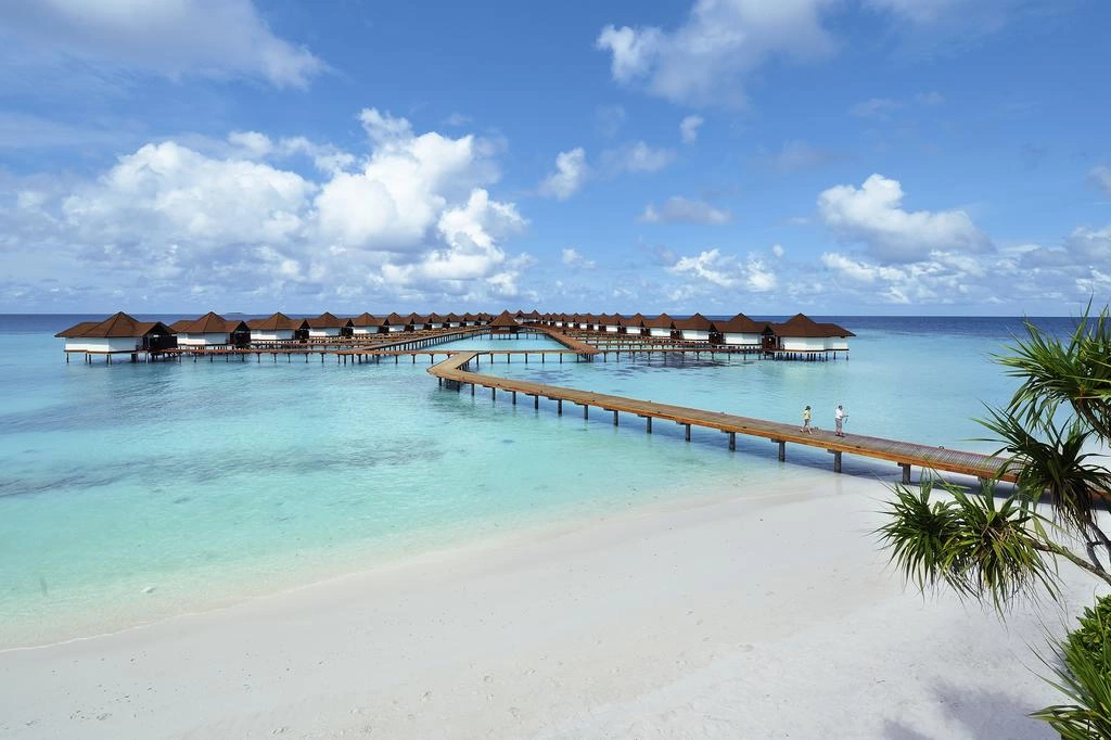 Robinson Maldives (ex. Robinson Club Maldives) · Foto del fornitore 11