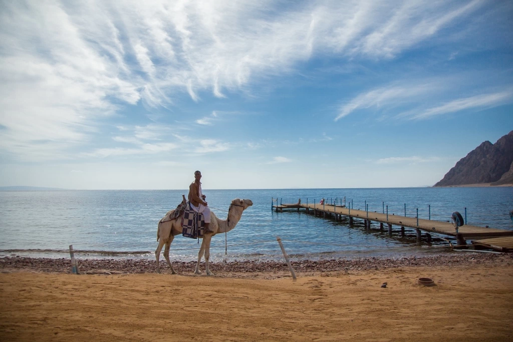 Happy Life Village Dahab · Фото постачальника 13
