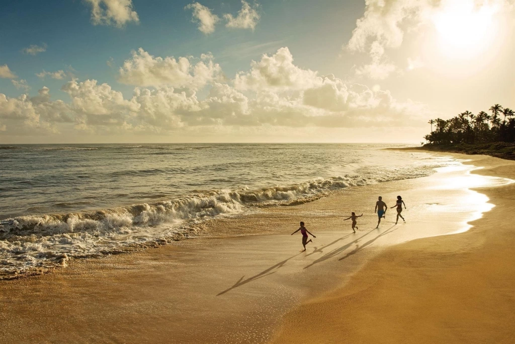 Dreams Onyx Punta Cana Resort & Spa · Supplier photos 11