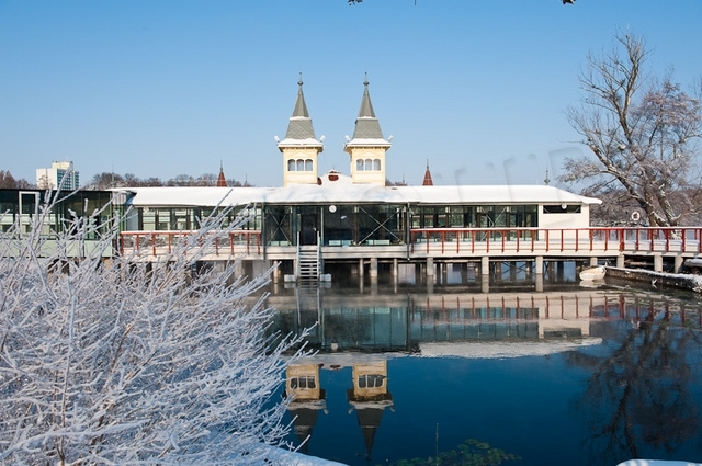 main photo