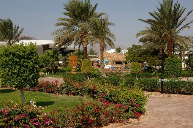 Time Coral Nuweiba Resort (ex. Hilton Nuweiba Coral Resort) · Foto del fornitore 3