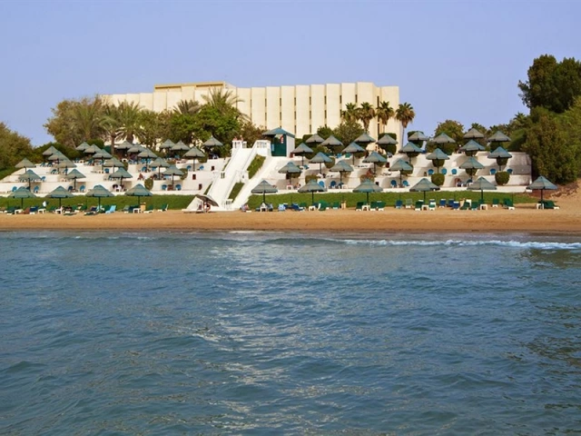 main photo