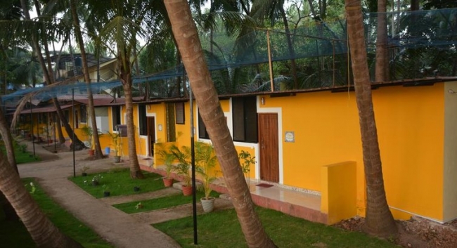 main photo