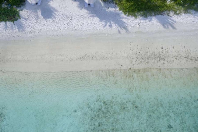 The White Harp Beach Hotel · Photos du fournisseur 4