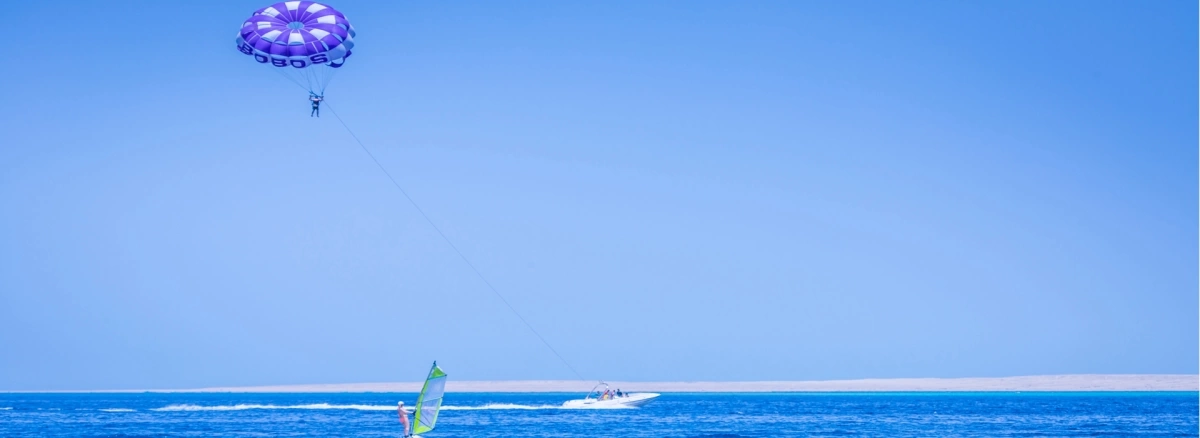 Seagull Beach Resort · Фото постачальника 3