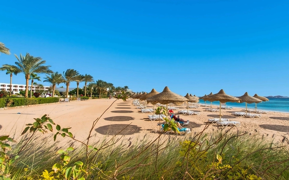 Baron Resort · Фото постачальника 4