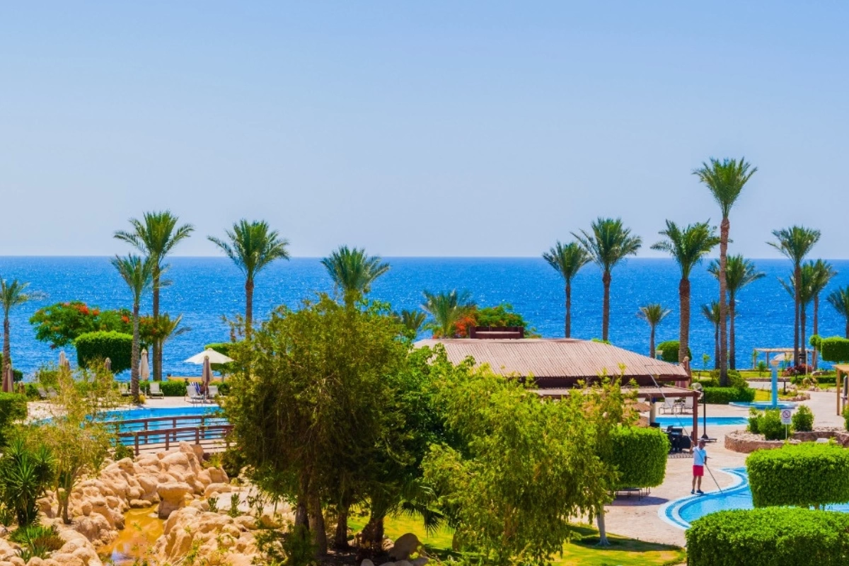 Renaissance Sharm El Sheikh Golden View Beach Resort · Фото постачальника 5