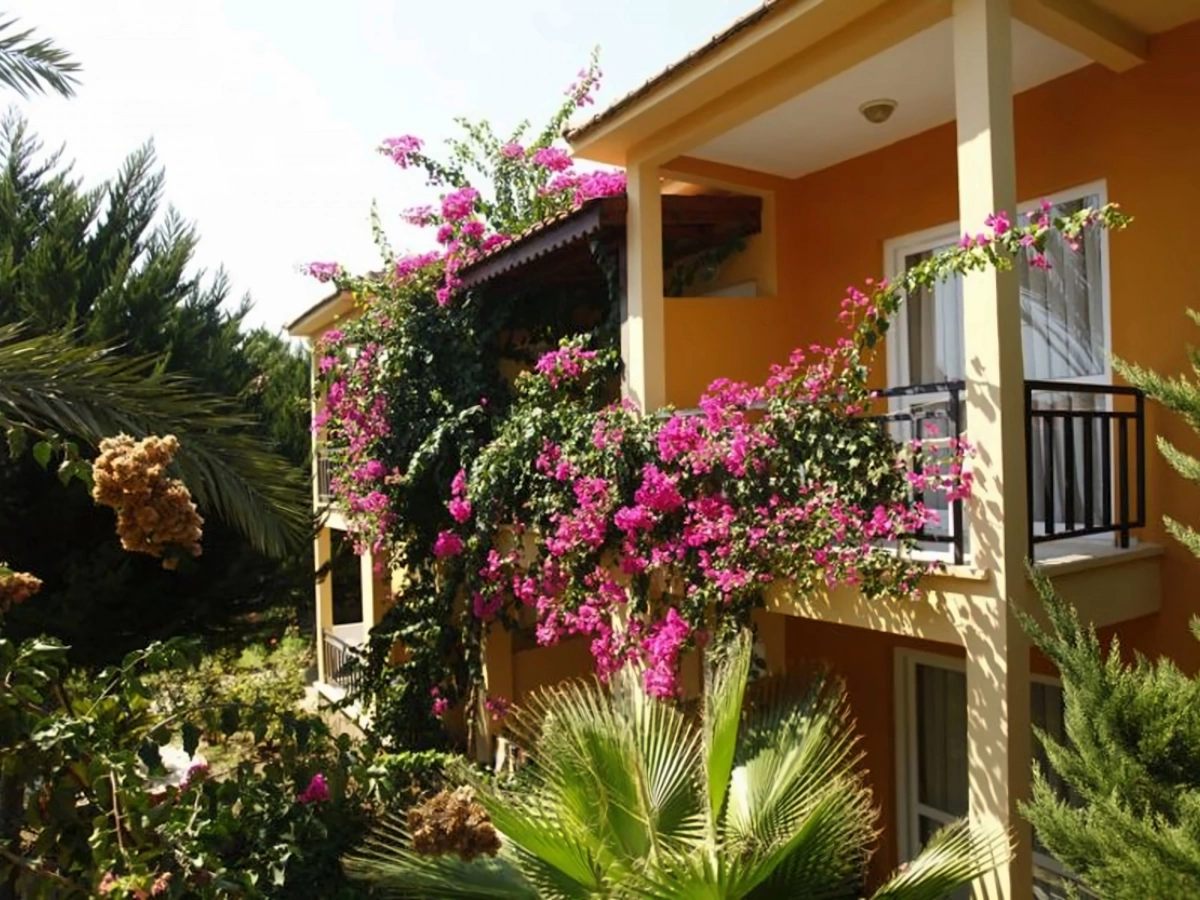 Miramor Garden Resort Hotel · Photos du fournisseur 11
