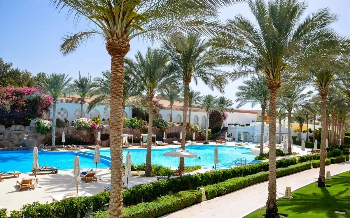 Baron Palms · Anbieterfotos 11