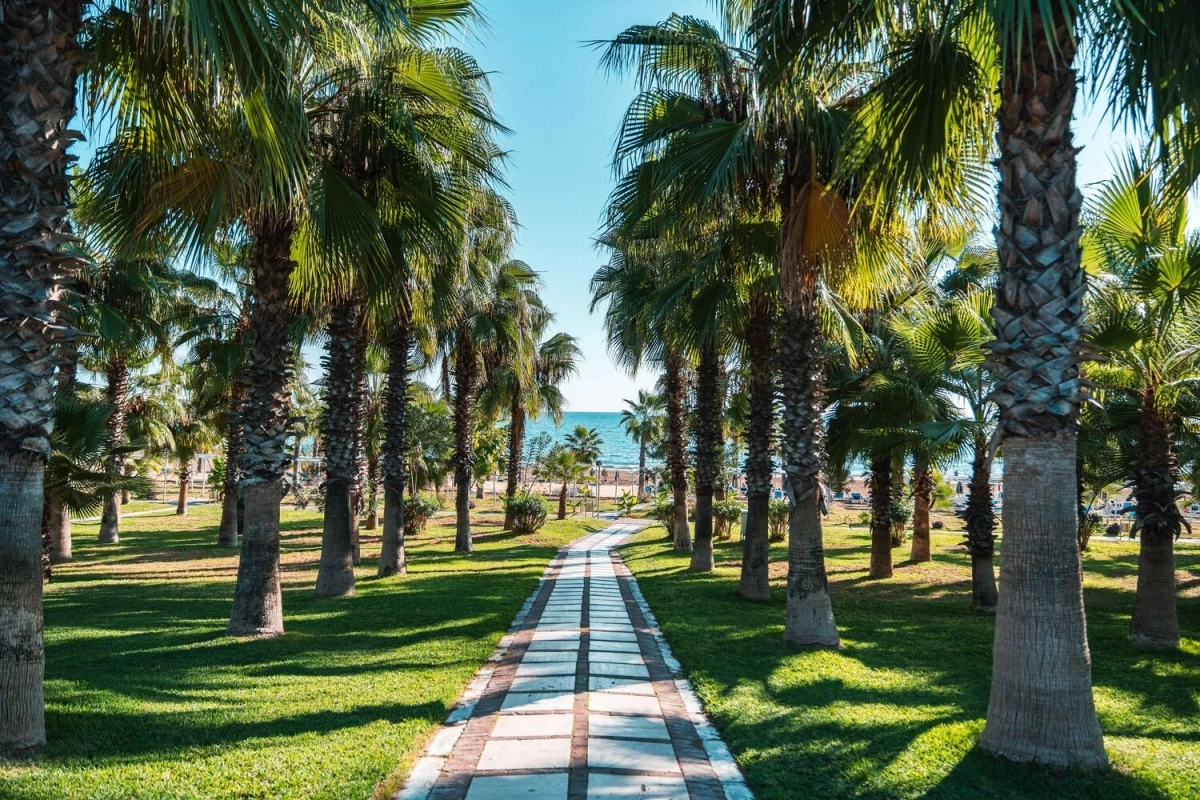 Sural Resort · Fotos del proveedor 4