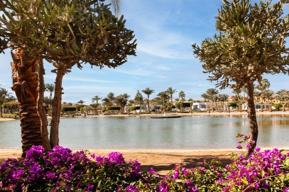 Pharaoh Azur Resort · Foto del fornitore 6