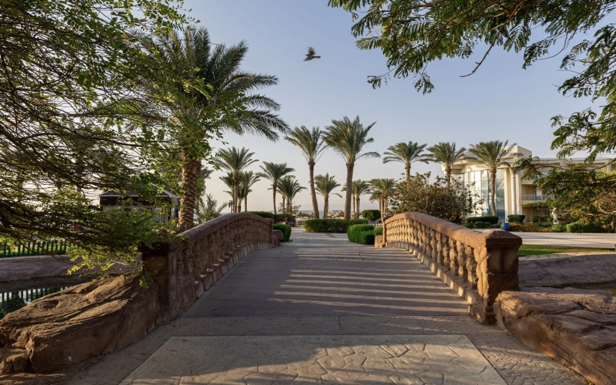 Palm Royale Resort Soma Bay · Фото постачальника 6