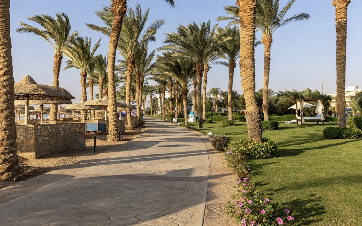Palm Royale Resort Soma Bay · Фото постачальника 8