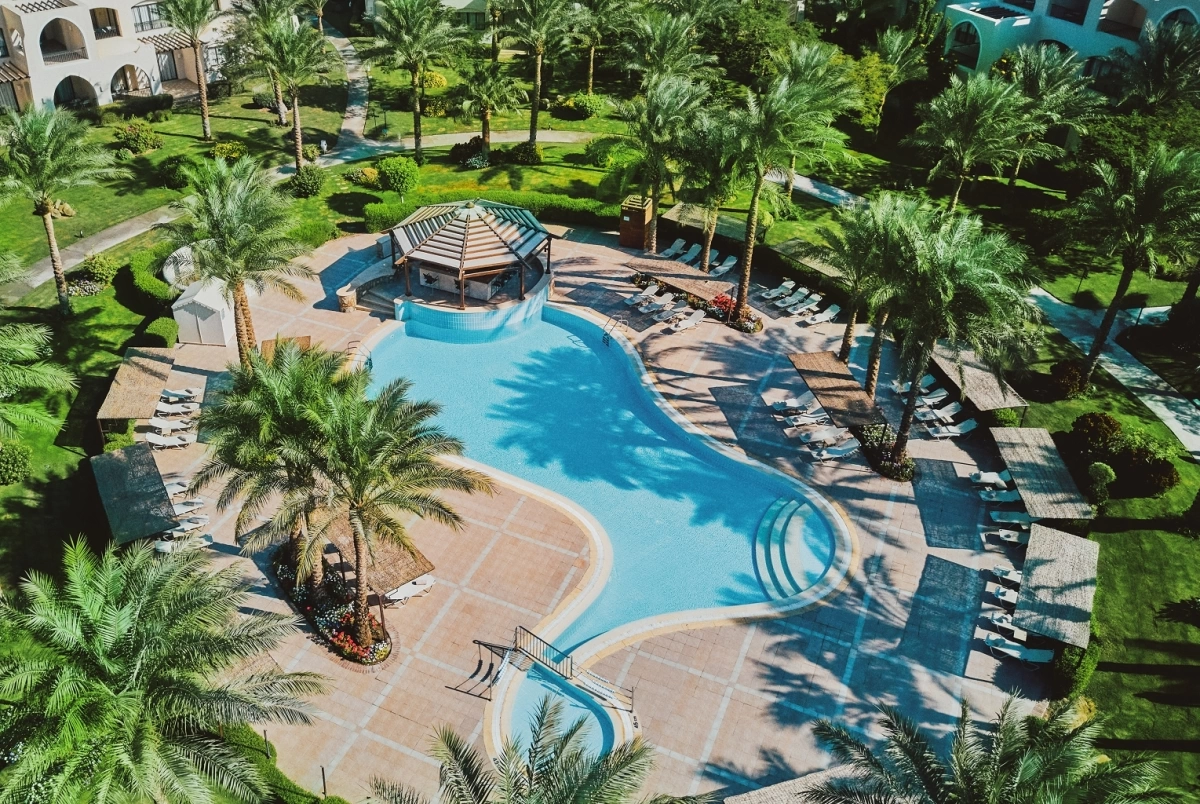 Jaz Makadi Saraya Palms · Фото постачальника 9